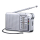 Radio i budzik Panasonic RF-P150DEG-S